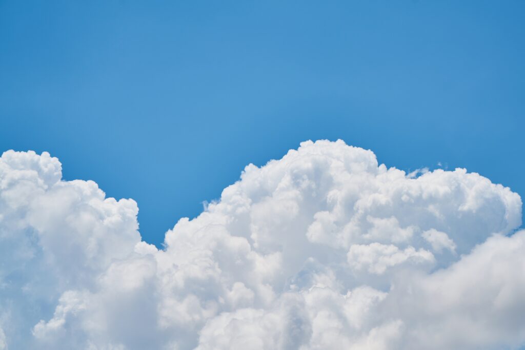 Why Companies are Choosing the Cloud: The Business Value of Cloud Computing